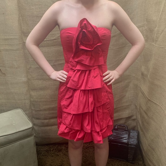 ⚡️BCBG Maxazria Tube Ruffle Dress⚡️ - Picture 3 of 8